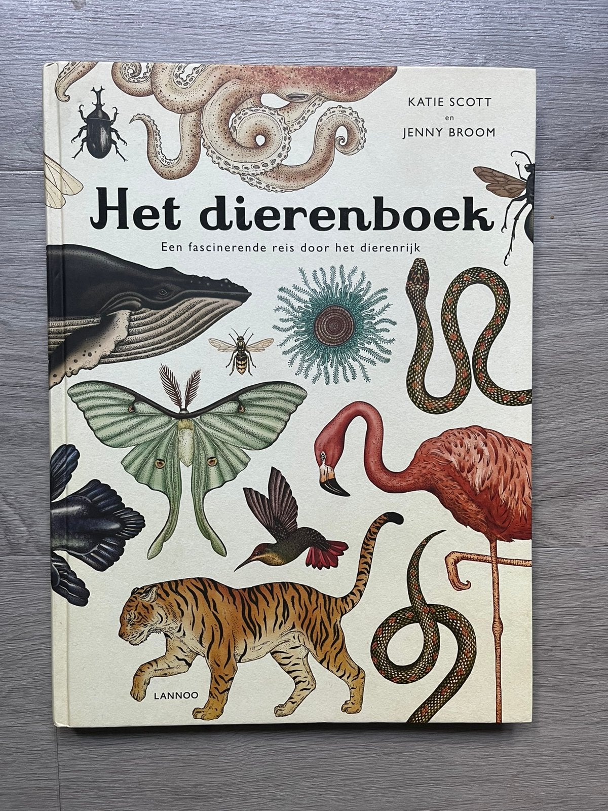 Jenny Broom - Het dierenboek, Boeken, Kinderboeken | Jeugd | onder 10 jaar, Non-fictie, Jenny Broom, Ophalen of Verzenden, Zo goed als nieuw