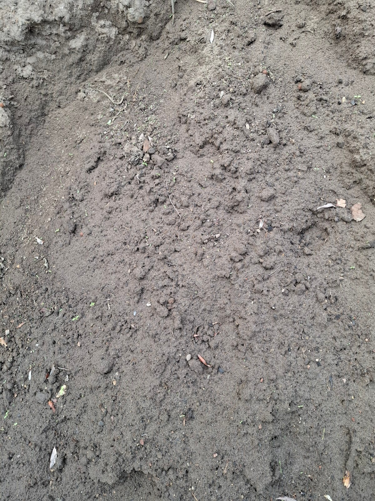 teelaarde/ zwarte grond te koop, Tuin en Terras, Zand, Ophalen, Overige typen