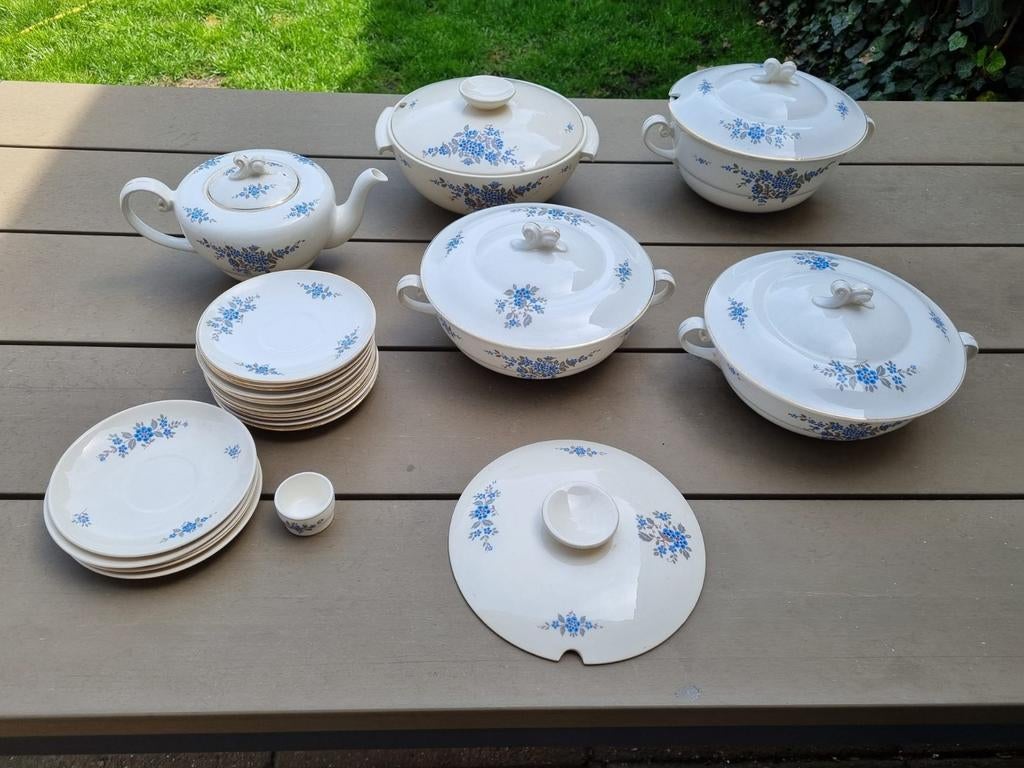 Petrus Regout vergeet me nietjes servies 28 delig, Ophalen of Verzenden