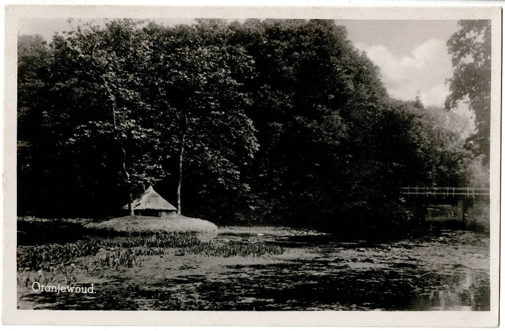 Oranjewoud (fr), verstuurd 1945, uitgave binnert,, Verzenden, 1940 tot 1960, Gelopen, Friesland