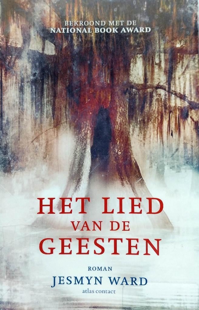 Het lied van de geesten, Boeken, Romans, Nieuw, Ophalen of Verzenden