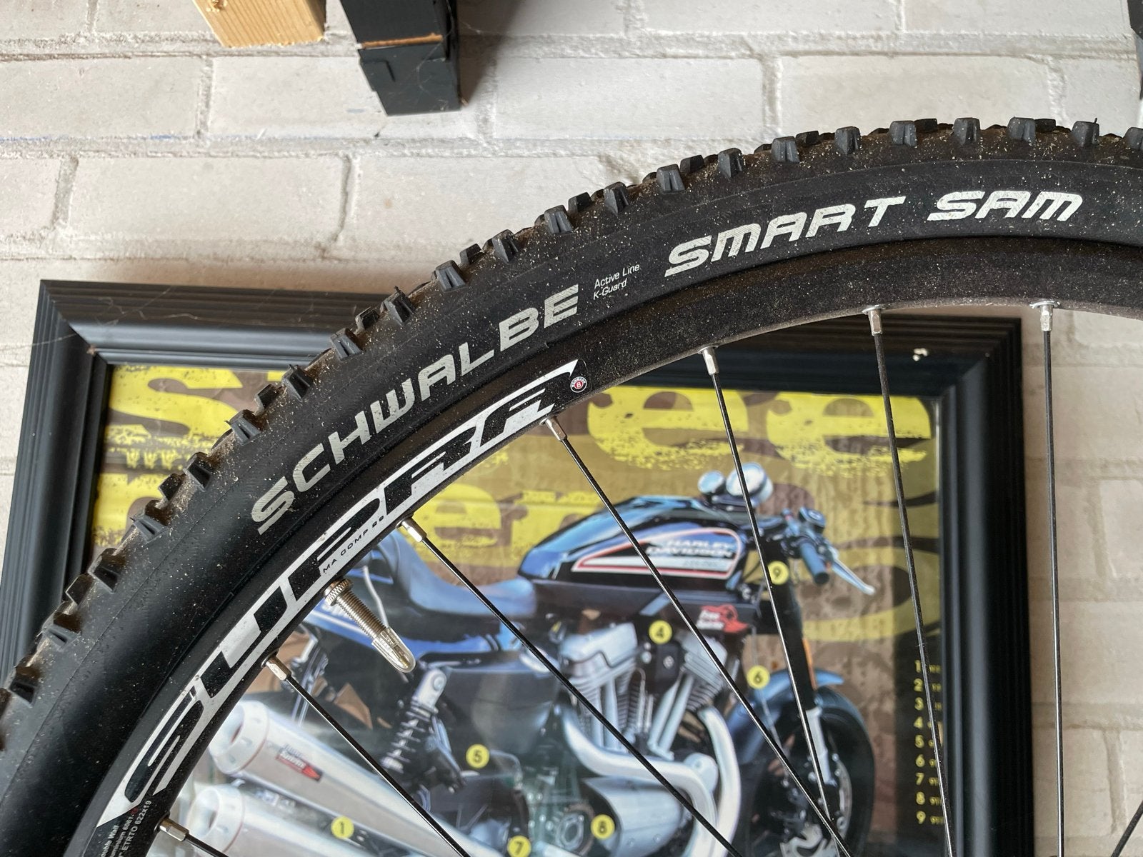 Sensa Sella TNT 29er Mountainbike - Zo goed als nieuw, Hardtail, Heren, 49 tot 53 cm, Zo goed als nieuw