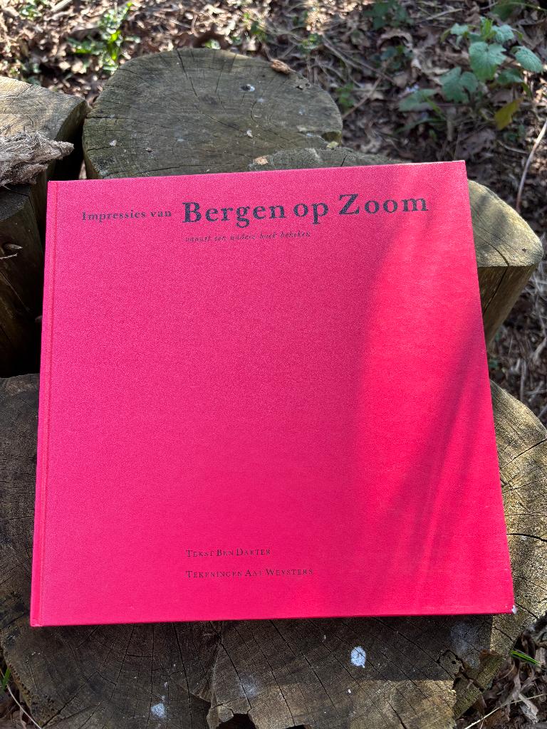 Boek Impressies van Bergen op Zoom, Boeken, Geschiedenis | Stad en Regio, 20e eeuw of later, Bert Baeter, Ophalen of Verzenden