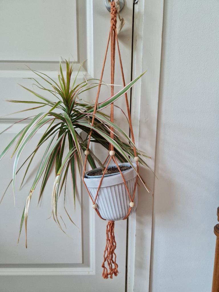 2 Macrame plant pot hangers, Boho, Oranje, Ophalen of Verzenden, Natuurlijk materiaal
