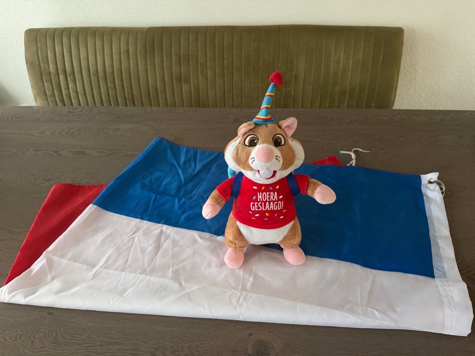 Geslaagd Hamster Knuffel met Rugzakje en Feestmuts en Vlag, Overige merken, Overige karakters, Hamster, Ophalen of Verzenden