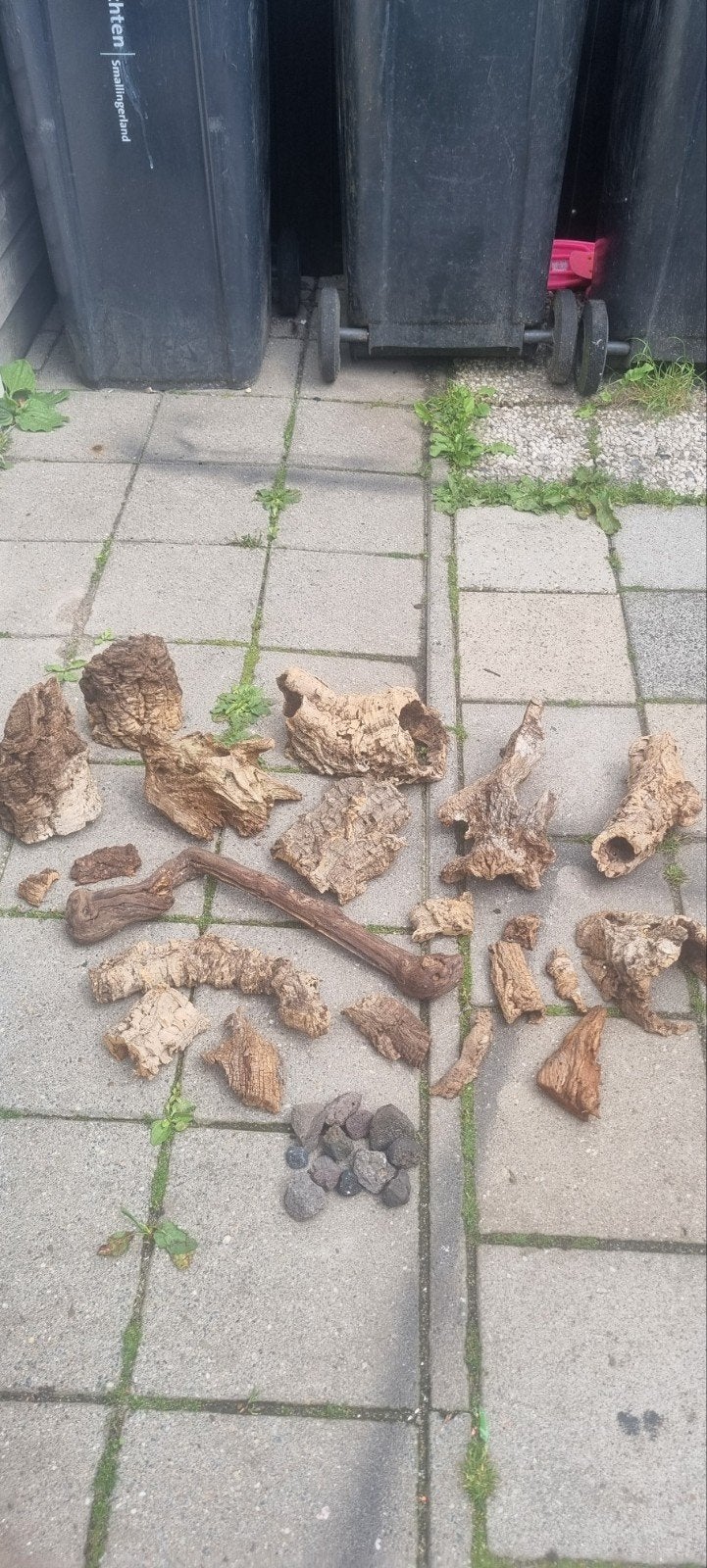 Hout voor aquarium / terrarium, Dieren en Toebehoren, Vissen | Aquaria en Toebehoren, Ophalen of Verzenden, Plant(en), Steen of Hout