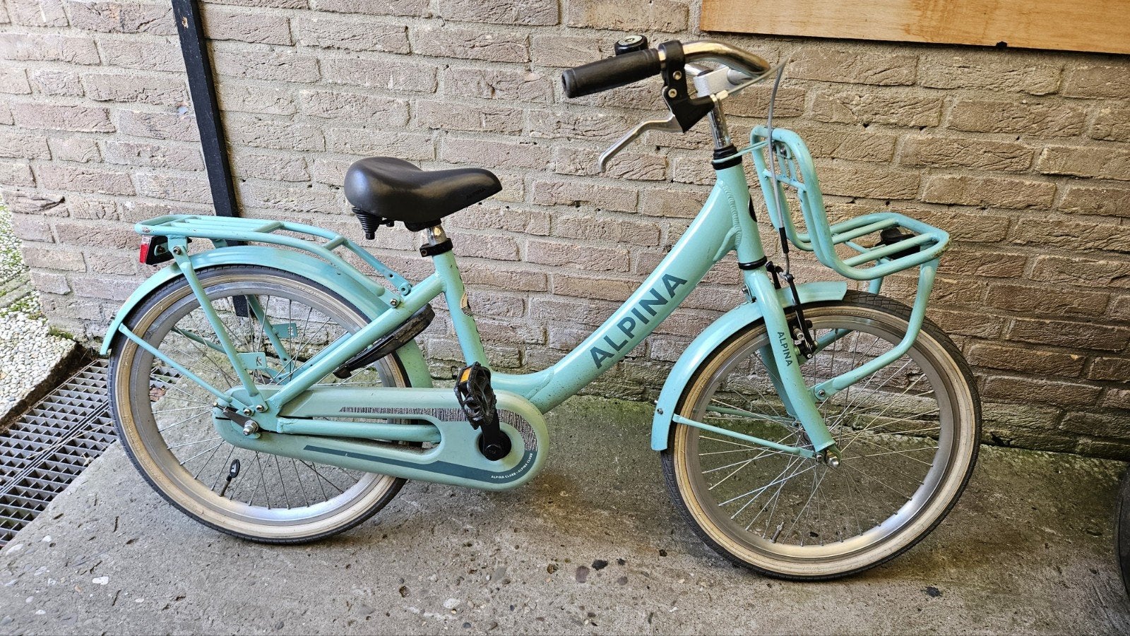 Alpina kinderfiets 20 inch met voordrager, Ophalen, Gebruikt, Alpina, Terugtraprem