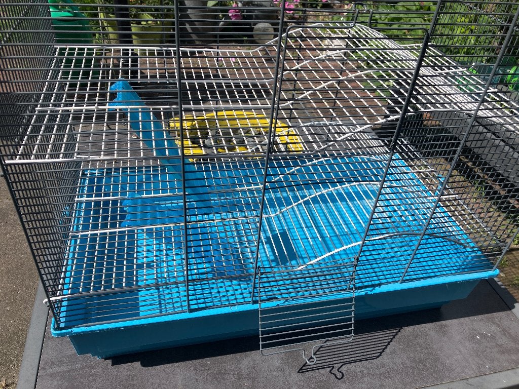 Kooi hamster of ander knaagdier (muis of ratje), Dieren en Toebehoren, Knaagdieren en Konijnen | Hokken en Kooien, Kooi, Gebruikt
