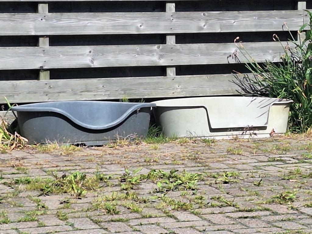 Hondenmanden, Dieren en Toebehoren, Ophalen, Pluche