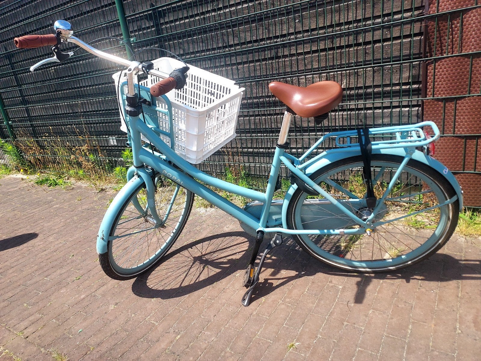 Popal Daily Dutch Basic 2023 + N3, Ophalen of Verzenden, Gebruikt, 20 inch of meer