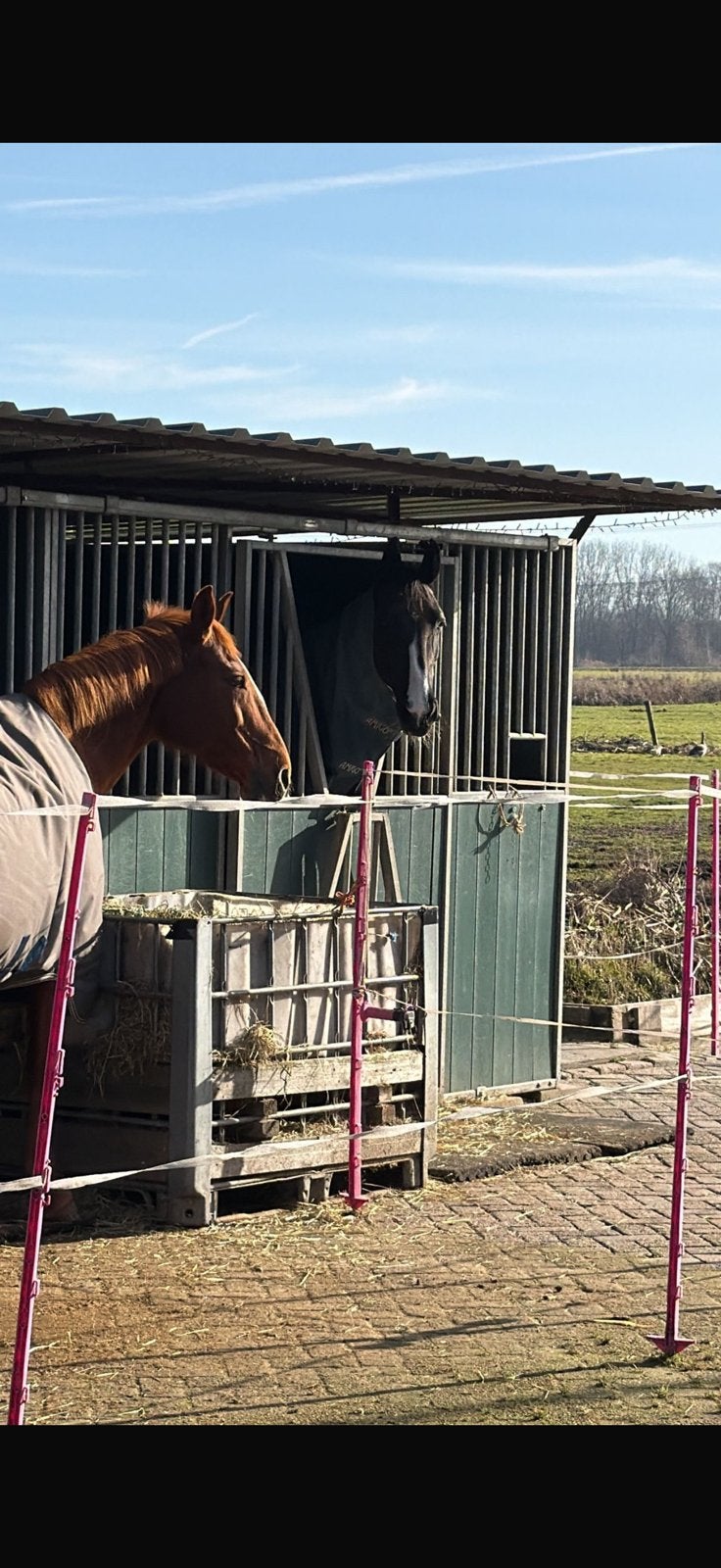 Plekje vrij, prive stal diemen voor een merrie, Dieren en Toebehoren, Stalling en Weidegang, Stalling, 1 paard of pony