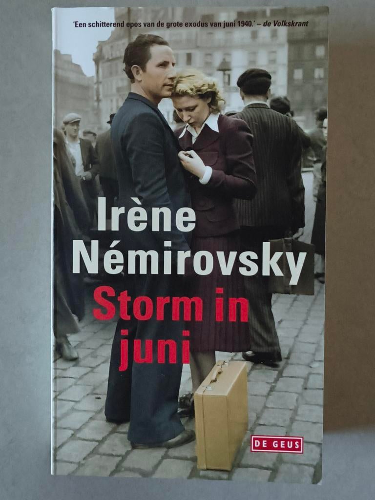 Storm in juni - Irène Némirovsky (roman), Ophalen of Verzenden, Gelezen, Irène Némirovsky, Europa overig