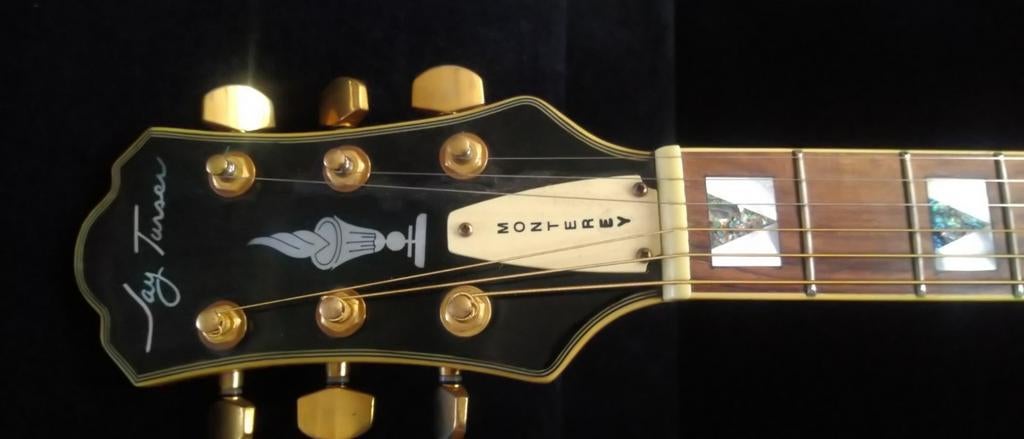 Jay Turser JT141 jazz gitaar, Muziek en Instrumenten, Snaarinstrumenten | Gitaren | Elektrisch, Ophalen, Zo goed als nieuw, Hollow body
