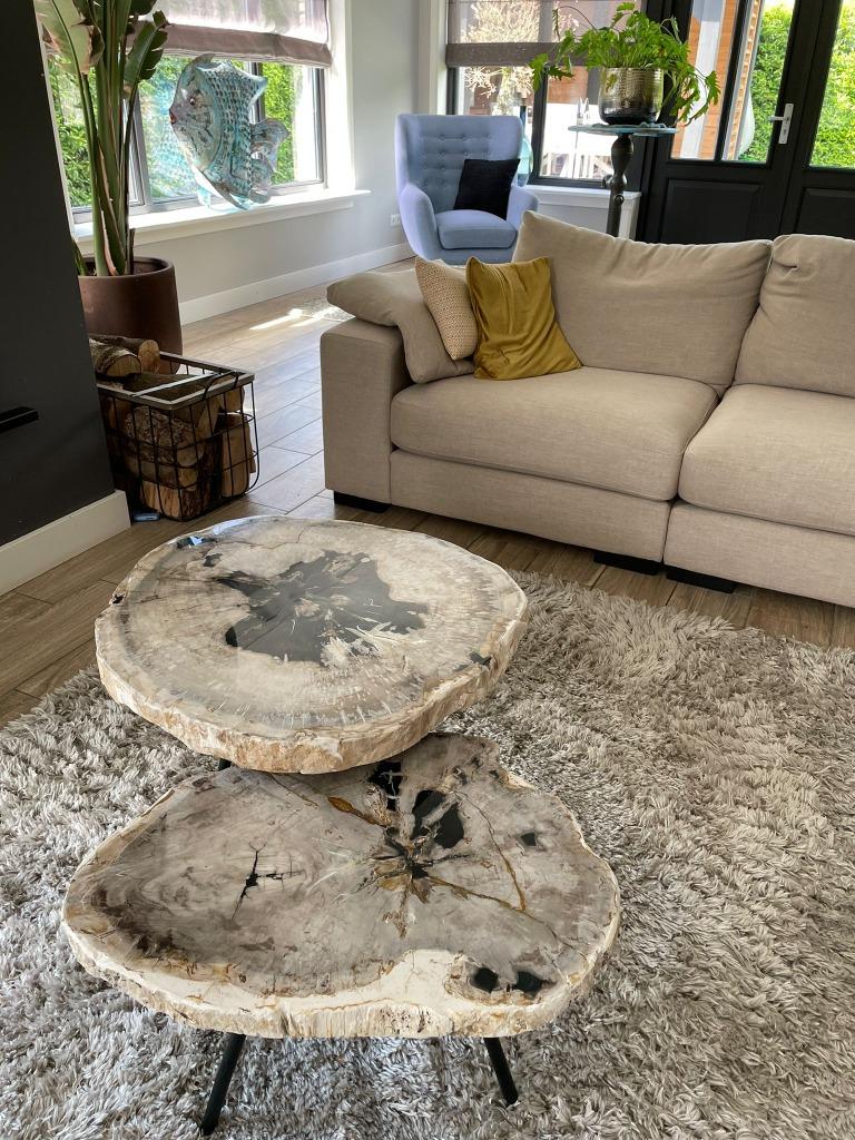Versteend Hout Salontafels, Huis en Inrichting, Tafels | Salontafels, Ophalen of Verzenden, Nieuw, Overige vormen, Metaal