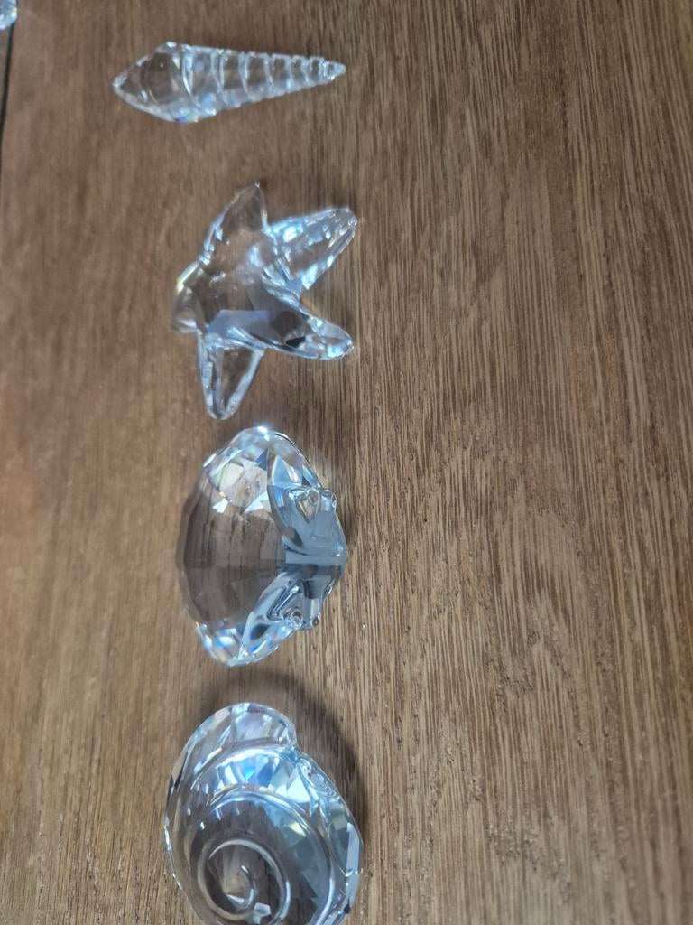 Swarovski schelpen, Verzamelen, Swarovski, Ophalen of Verzenden, Zo goed als nieuw, Figuurtje