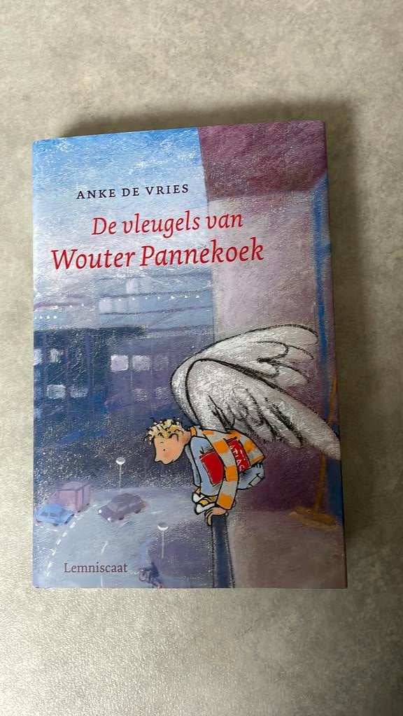 Anke de Vries - De vleugels van Wouter Pannekoek, Boeken, Fictie algemeen, Nieuw, Ophalen of Verzenden, Anke de Vries