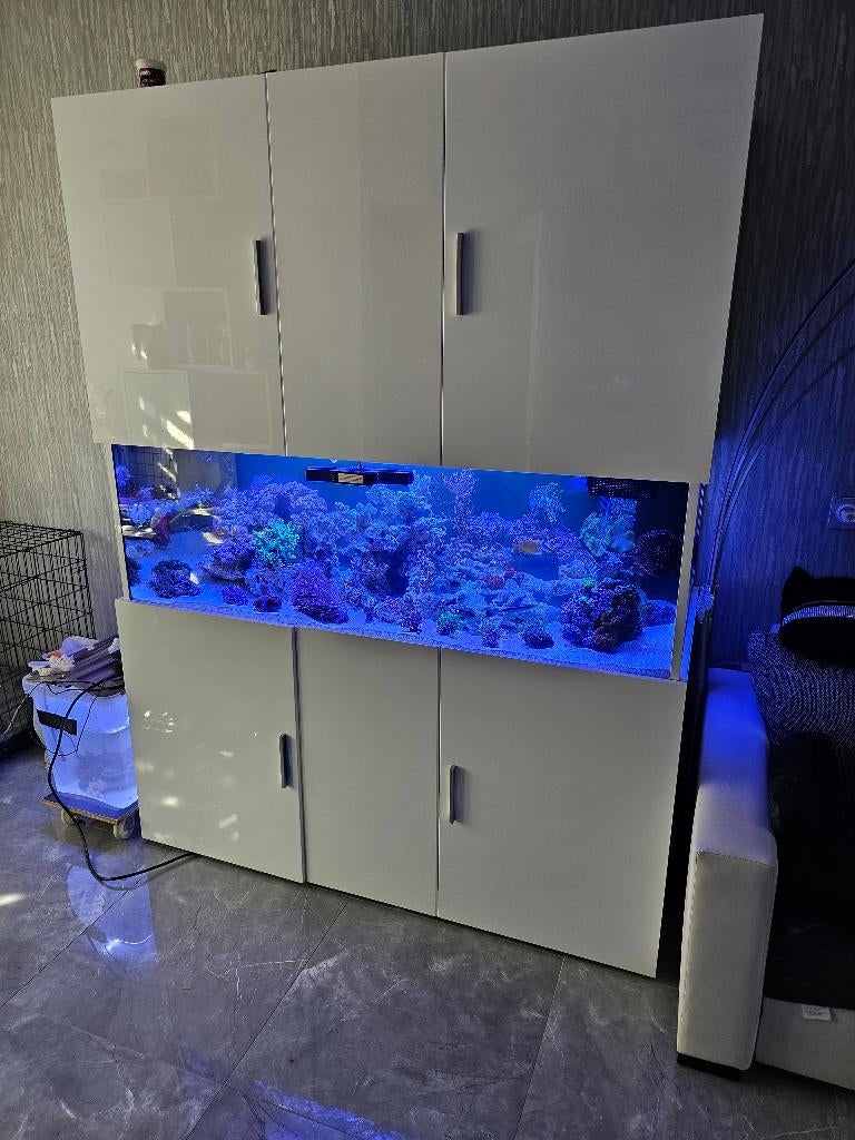 Zeeaquarium groet verkoop alleen kompleet., Dieren en Toebehoren, Ophalen, Gebruikt, Gevuld zeewateraquarium