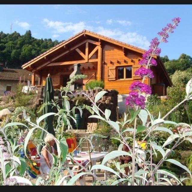 Te koop! Chalet in Ventron met zwembad en grote tuin, 4 of meer slaapkamers, Vogezen of Jura, Landelijk, Open haard