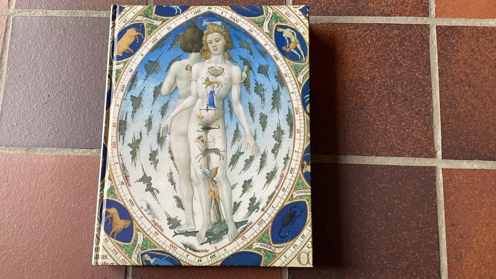 Boek middeleeuwse kunst, Ophalen of Verzenden, Zo goed als nieuw