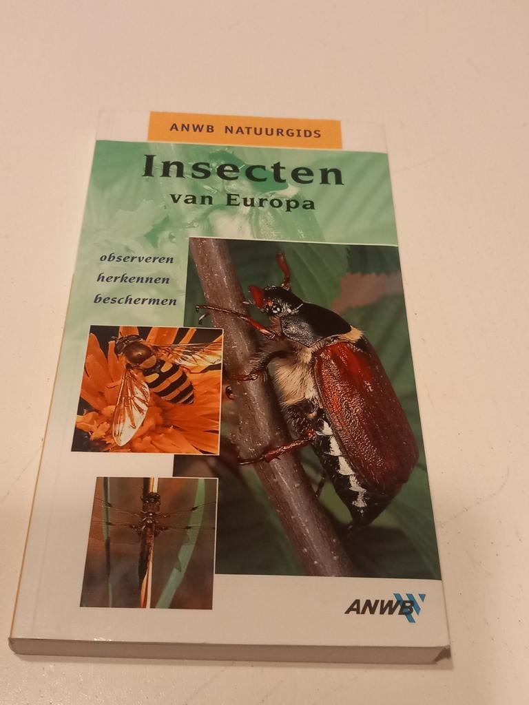 Insecten van Europa - ANWB Natuurgids, Ophalen of Verzenden, Zo goed als nieuw, Natuur algemeen, Onbekend
