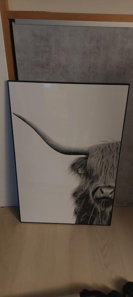 Schilderij schotse hooglander, Ophalen