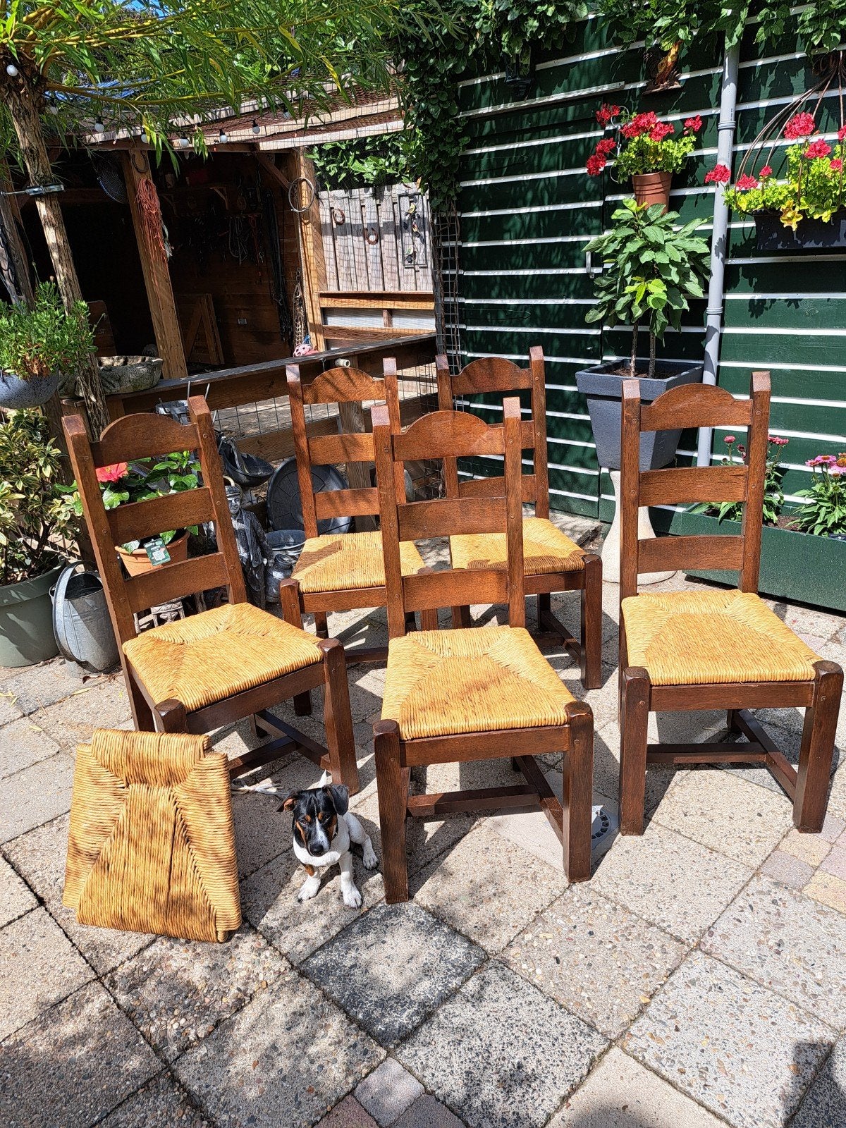 5 stevige eiken eetkamerstoelen, Huis en Inrichting, Stoelen, Ophalen, Gebruikt, Bruin, Hout