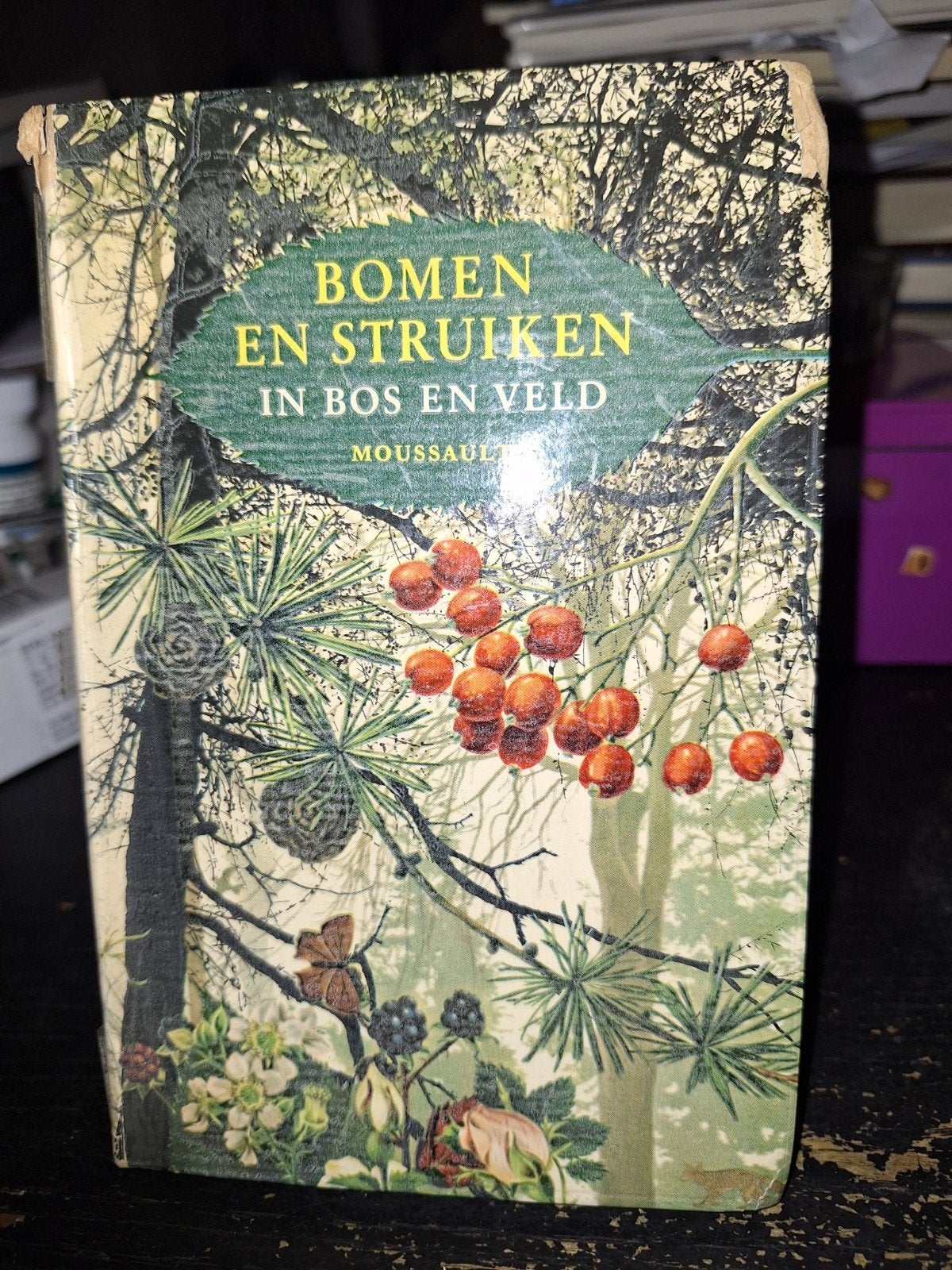 Bomen en struiken, Ophalen of Verzenden, Zo goed als nieuw, Bloemen, Planten en Bomen
