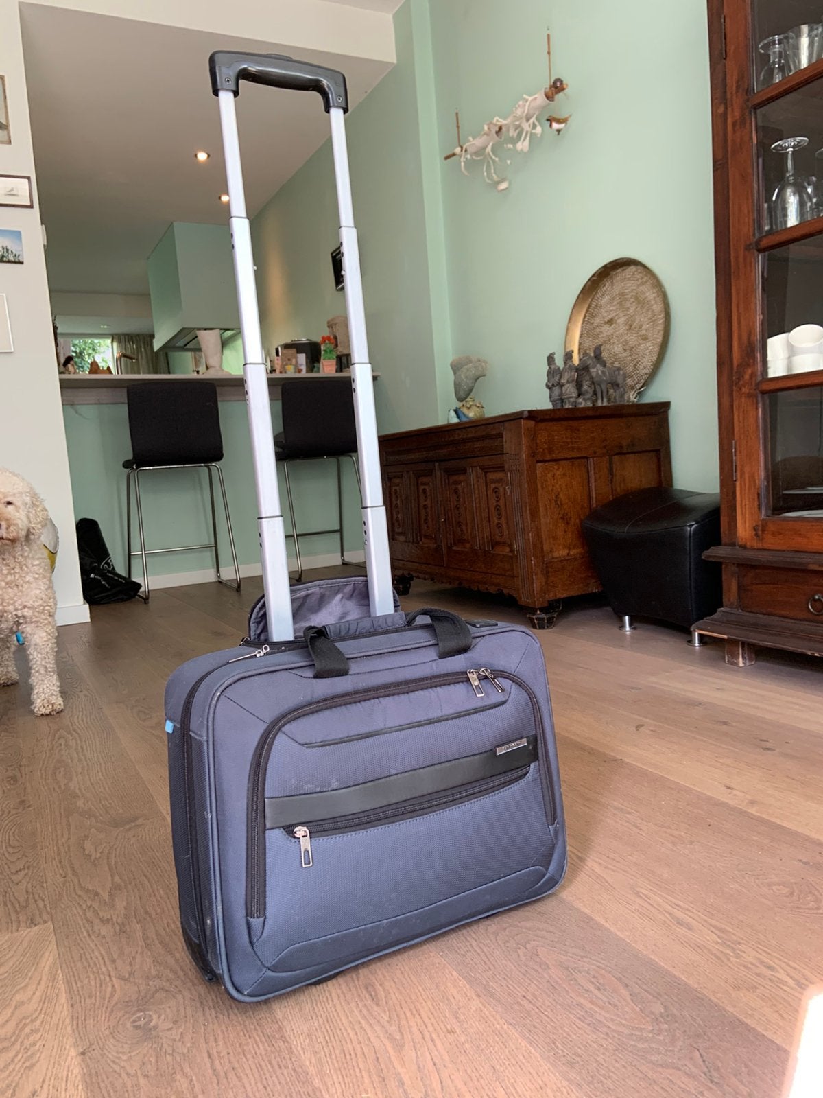 Samsonite rolkoffer, Computers en Software, Ophalen, Tabletvak, Gebruikt, Samsonite