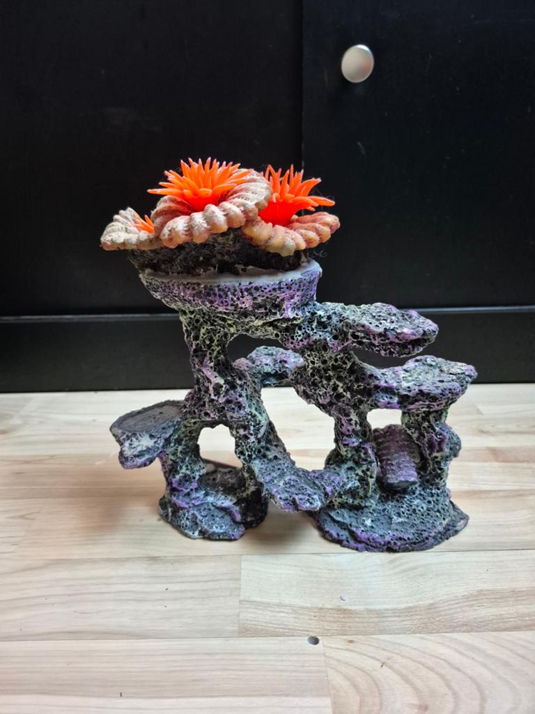 Ornament met anemonen., Ophalen