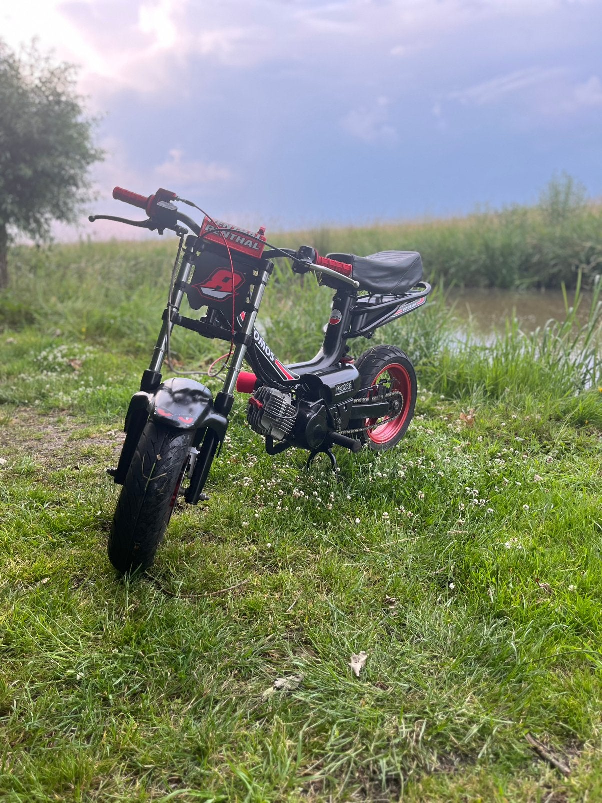 65cc Tomos Youngster, Fietsen en Brommers, Ophalen, Overige modellen, 65 cc, Zo goed als nieuw