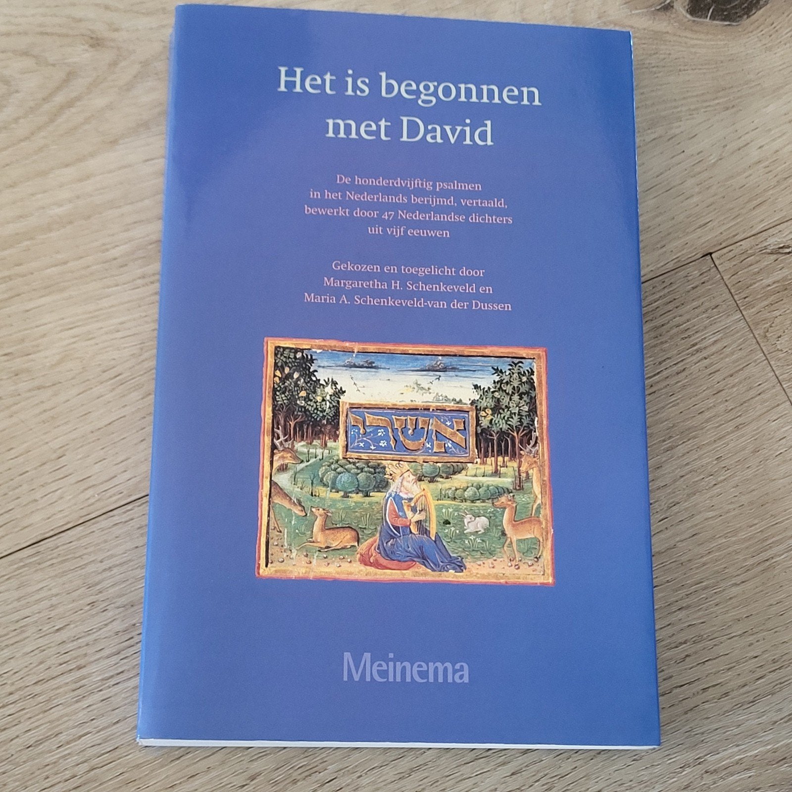 Het is begonnen met David - Psalmen in het Nederlands, Ophalen of Verzenden, Zo goed als nieuw, Christendom | Protestants