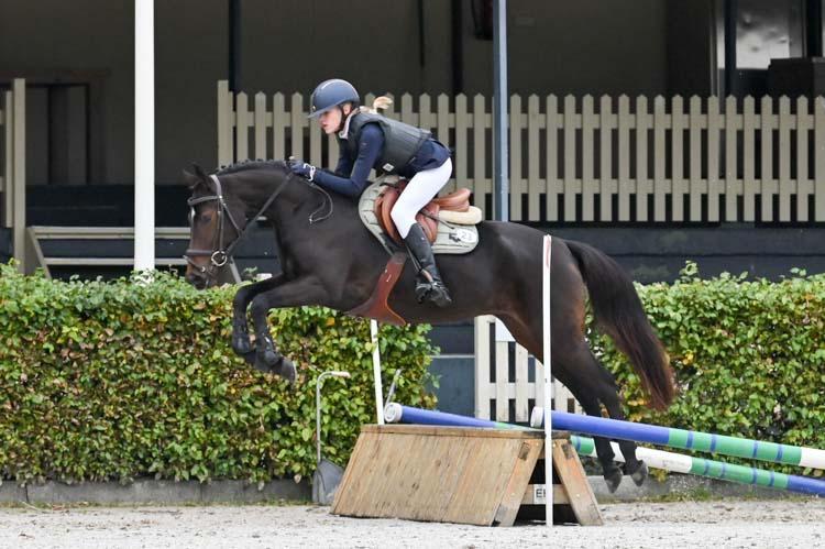 Ruiter Gezocht voor 5- & 6-jarige Merries, Weidegang, 1 paard of pony