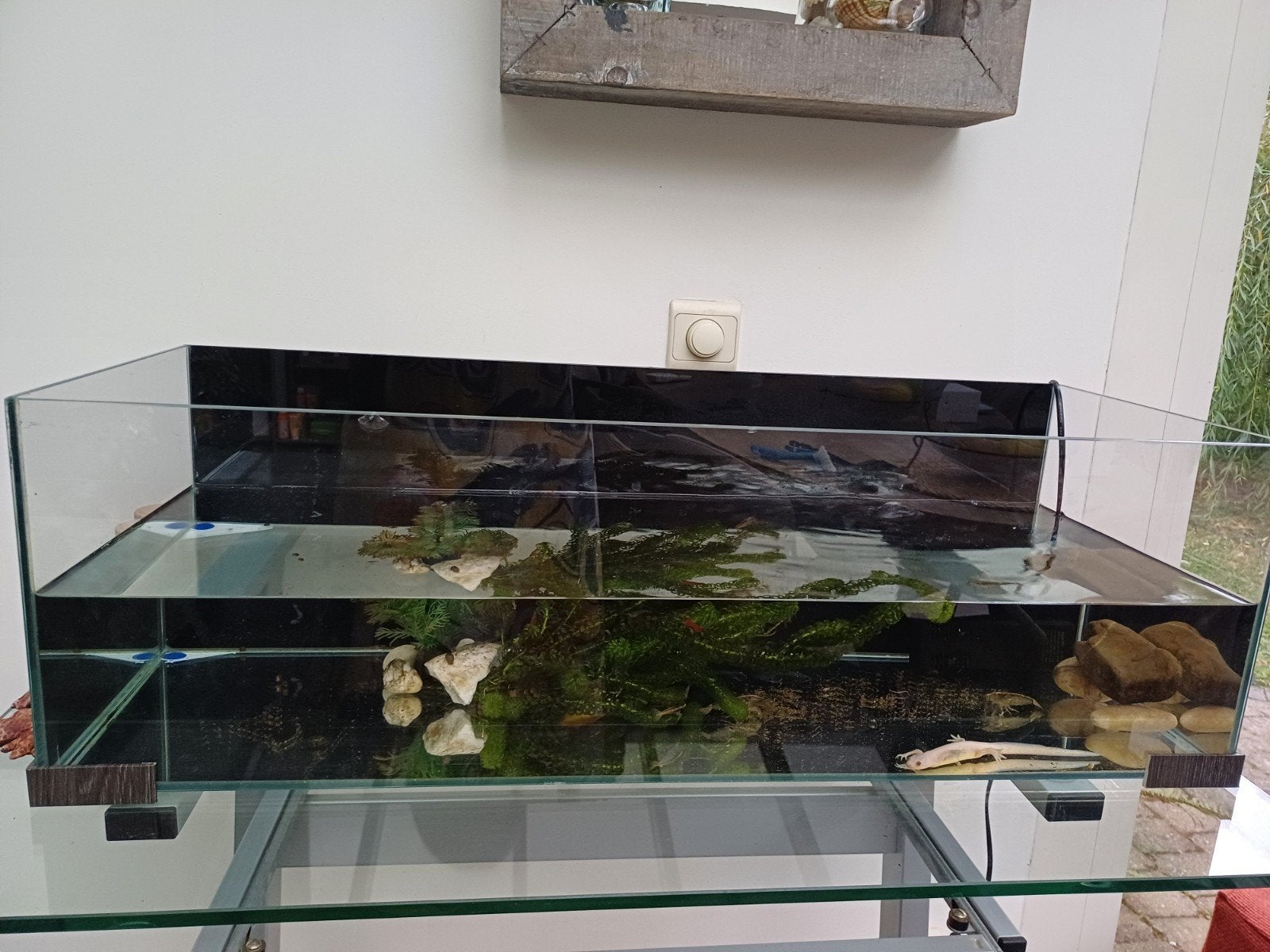 Breed aquarium met inhoud, Ophalen, Gebruikt, Gevuld zoetwateraquarium