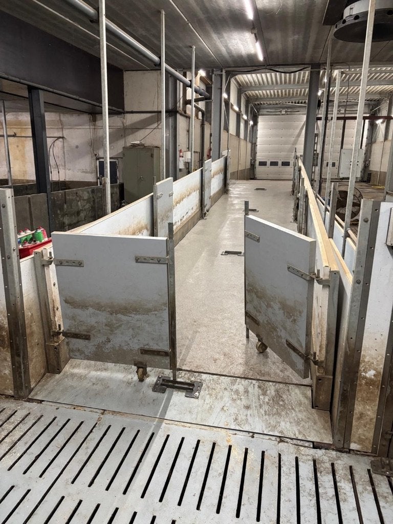 Laadbrug [466], Dieren en Toebehoren, Boekhorst Trading, Info@boekhorsttrading.com, Singel 16