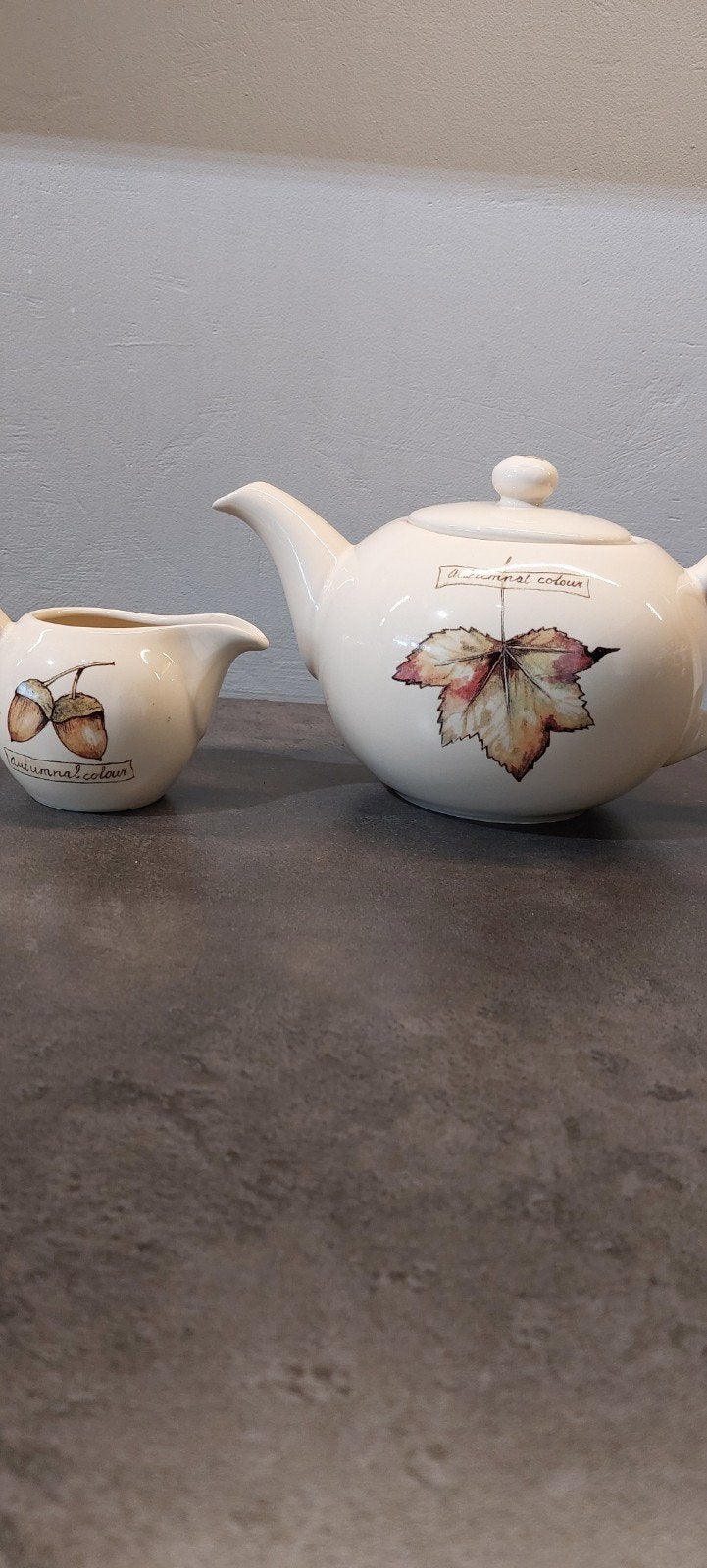 Grote theepot/Jet by ter Steege, Overige typen, Ophalen of Verzenden, Zo goed als nieuw, Overige stijlen