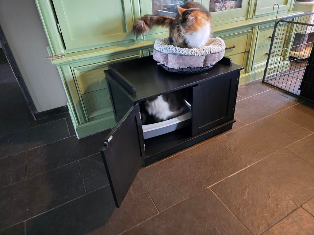 Kattenbak / huis, Ophalen, Zo goed als nieuw, Gesloten