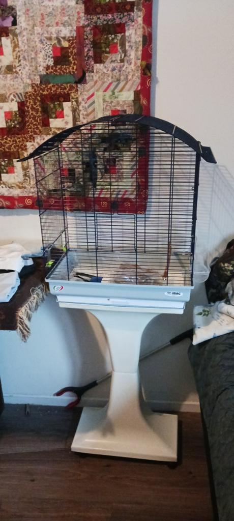 V9gelkooi op standaard, Dieren en Toebehoren, Ophalen, Zo goed als nieuw, Metaal, Vogelkooi