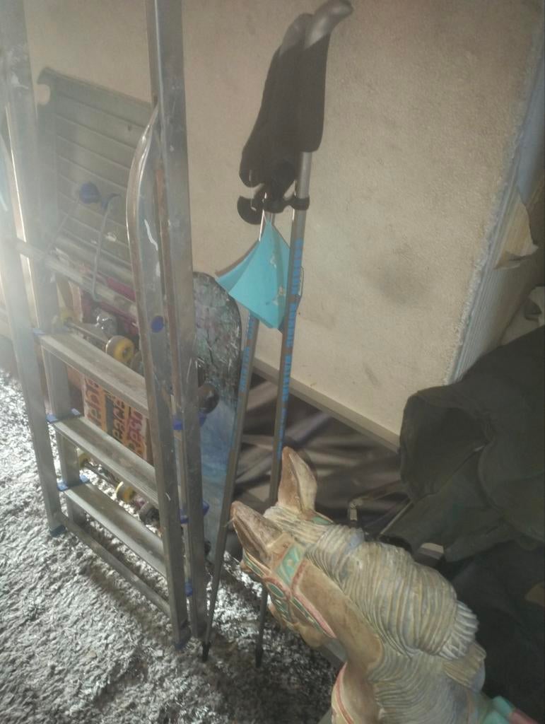 nordic walking, Ophalen of Verzenden, Nieuw