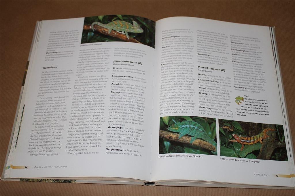 Het grote terrariumboek. Inrichting, planten, dieren., Ophalen of Verzenden, Nieuw, Honden