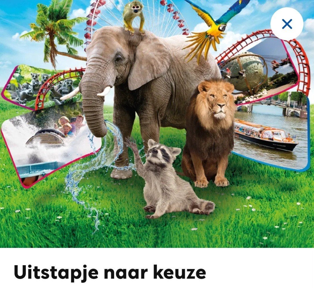 Uitstapje naar keuze, Tickets en Kaartjes, Drie personen of meer, Ticket of Toegangskaart