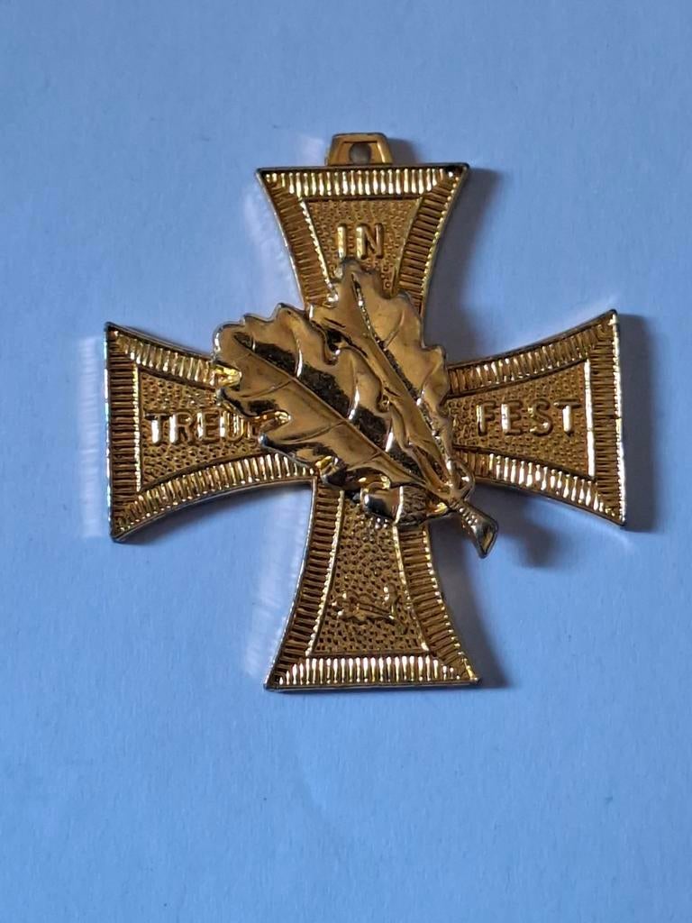 In Treue Fest kruis medaille naoorlogs, Verzamelen, Ophalen of Verzenden, Landmacht, Duitsland, Lintje, Medaille of Wings