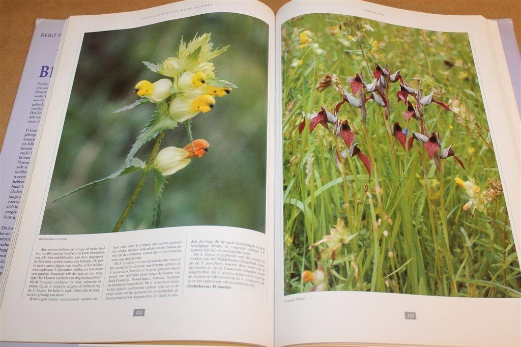Wilde Bloemen — Rebo Foto-encyclopedie, Ophalen of Verzenden, Gelezen, Bloemen, Planten en Bomen