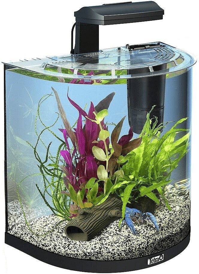 Tetra Aqua-art Explorer Line 30 liter, Ophalen, Zo goed als nieuw, Leeg aquarium, Inclusief deksel