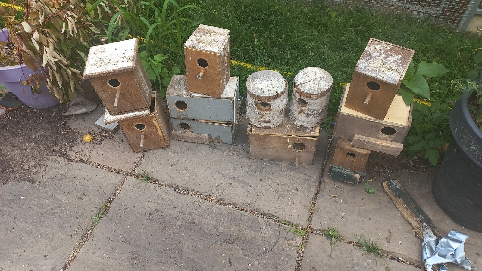 8 broedblokken   kl.soorten   parkieten, Ophalen, Hout, Broedkooi of Kweekkooi