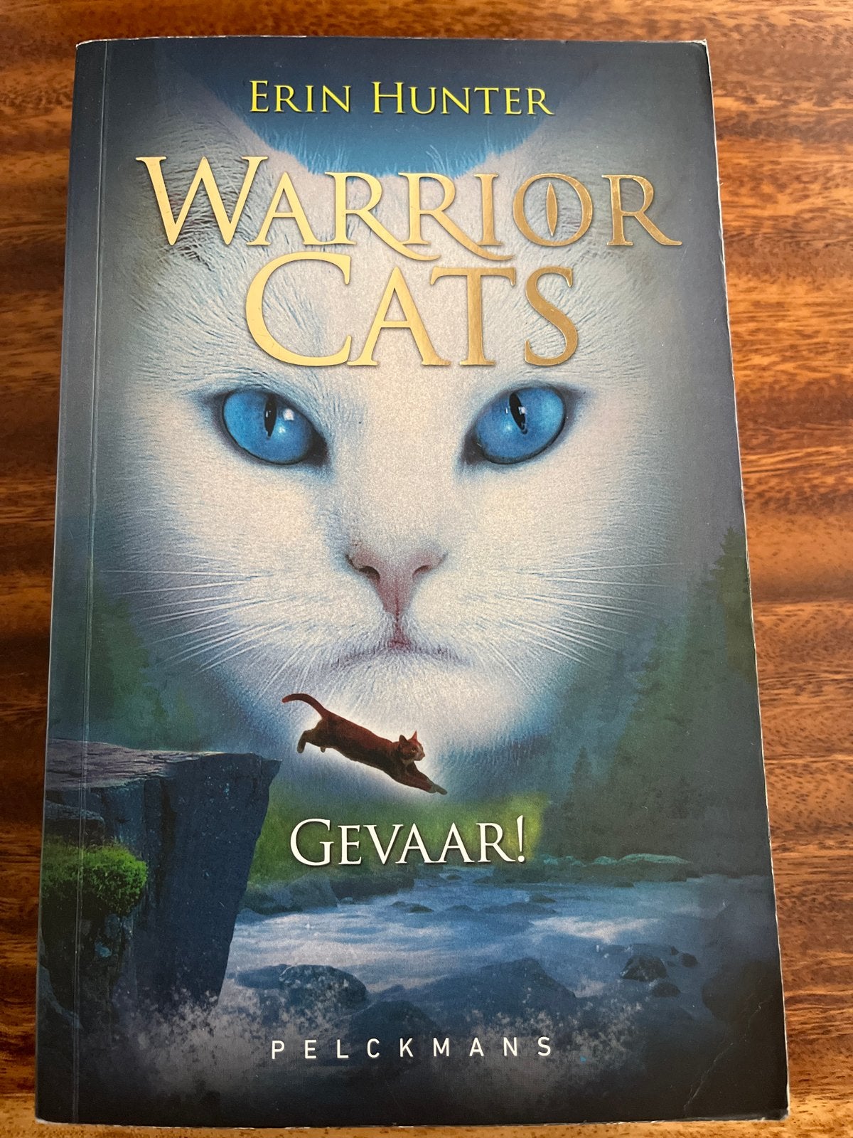 Warrior Cats: Gevaar! (Boek 5) - Erin Hunter, Boeken, Ophalen of Verzenden, Gelezen, Fictie