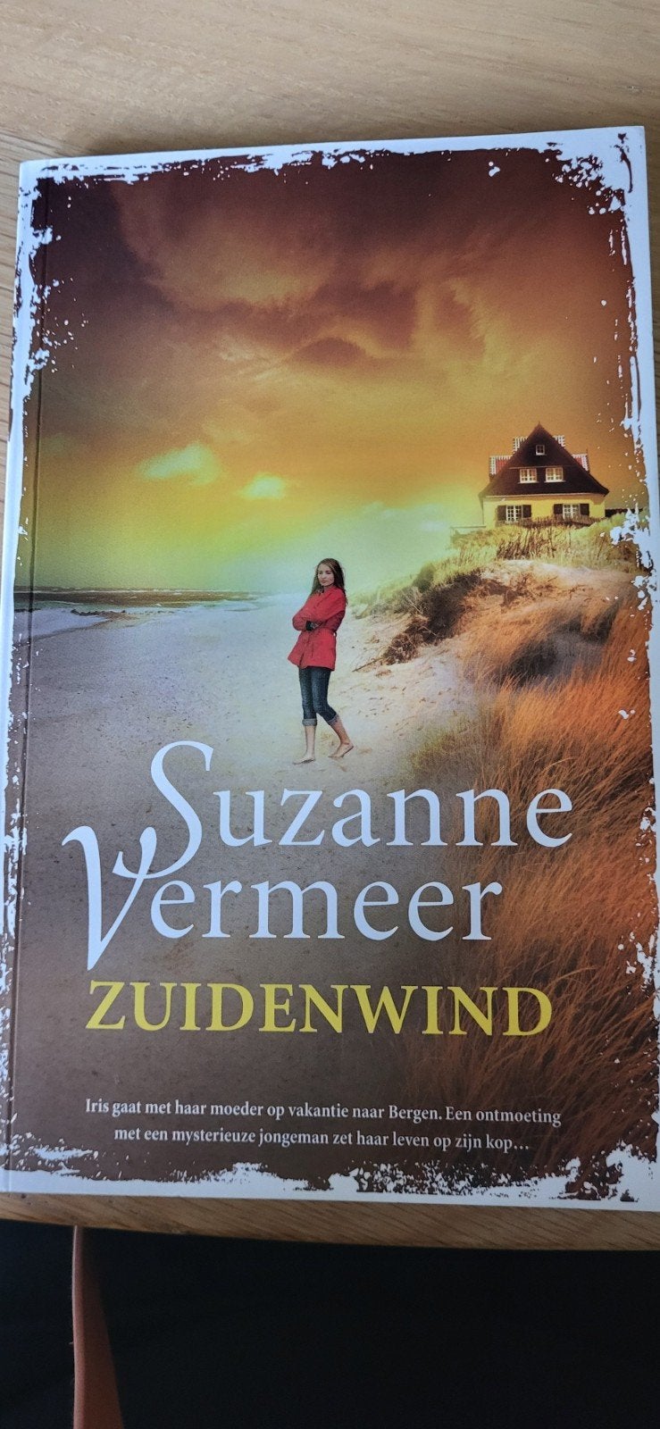 Suzanne Vermeer - Zuidenwind (Thriller), Ophalen of Verzenden, Zo goed als nieuw, Suzanne Vermeer