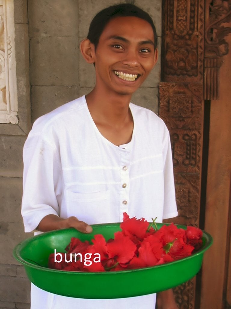 Indonesisch leren spreken - snel en leuk!, Ophalen, Alpha, Nieuw, Niet van toepassing