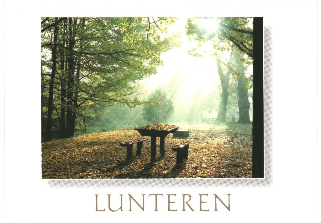 991466 Lunteren 80+ Gld _Gelopen met mooie zegel Tussen, Verzamelen, Ansichtkaarten | Nederland, Gelopen, Gelderland, 1980 tot heden