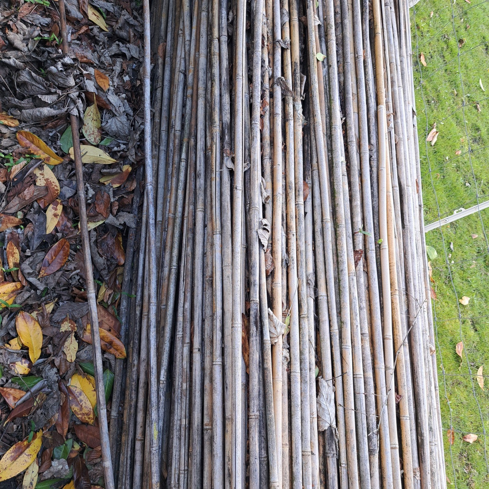 Diverse bamboe stokken voor tuin of decoratie, Ophalen, Gebruikt, 250 cm of meer, Overige typen