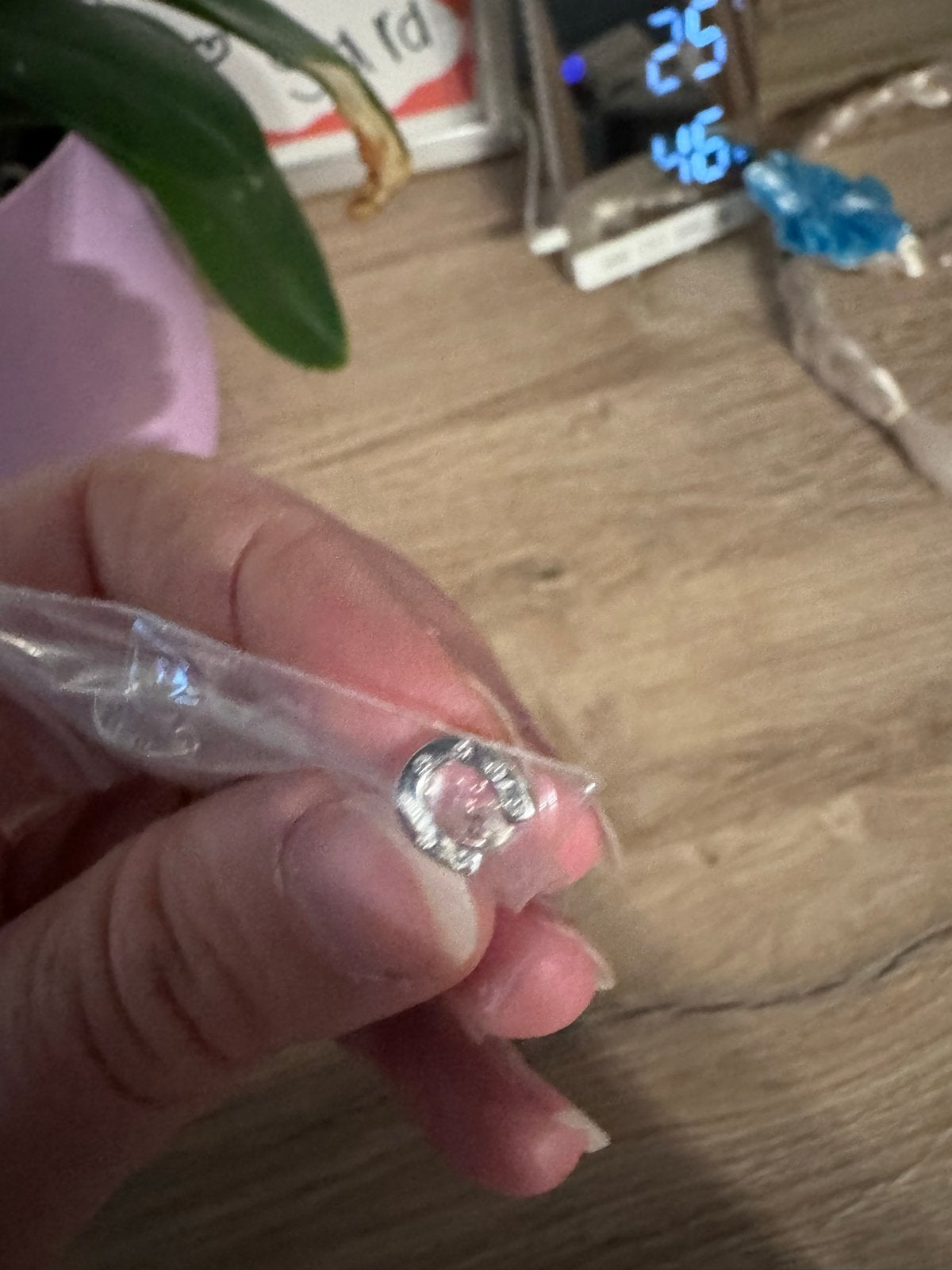 Lucardi Zilveren hoefijzer oorbellen, Sieraden, Tassen en Uiterlijk, Nieuw, Ophalen of Verzenden, Knopjes of Stekers, Zilver